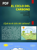 El Ciclo Del Carbono (Co2)