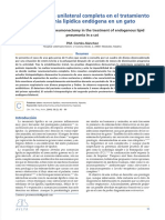 Neumonectomía Unilateral Completa en El Tratamiento de Neumonía Lipídica Endógena en Un Gato