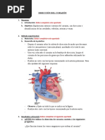 Disección Corazón