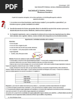 5 - GT N°3 - Proteinas y Membranas PDF