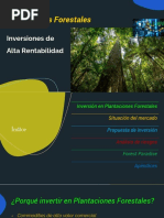 Alta Rentabilidad en Forestación