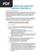 Principios Del Derecho Laboral Individual