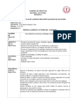 Formato de Informe de Práctica Anatomia