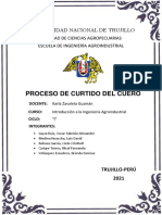 Proceso de Curtido Del Cuero