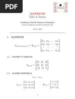 MATRICES Taller de Repaso PDF