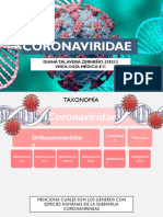 Comparto CORONAVIRIDAE Ejercicio Con Usted