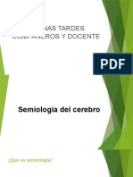 Semiologia Del Cerebro