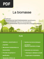 La Biomasse GRP 1