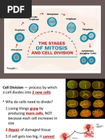 Lesson 7 Mitosis