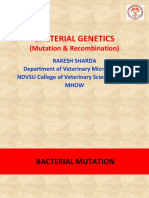 Bacterial Genetics