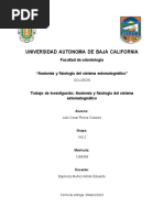 Anatomia y Fisiologia Del Sistema Estomatognatico