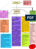 Mapa Conceptual