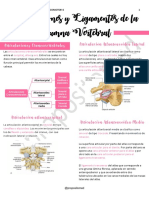 6 - Articulaciones y Ligamentos de La Columna Vertebral