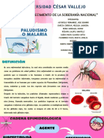 Malaria PDF