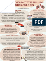 Infografia Tuberculosis PDF