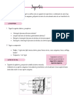 Injertos PDF