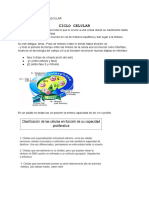 BIOLOGÍA MOLECULAR 2do