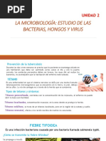 6to Microbiología Temas