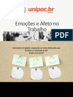 Emoções e Afetos No Trabalho