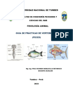 Sistema Nervioso Fisiología Animal-Victor Aldair Rodriguez Silupú