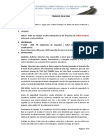 Procedimiento de Trabajos en Altura