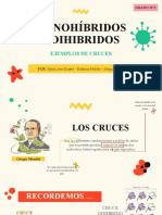 Monohíbridos y Dihíbridos