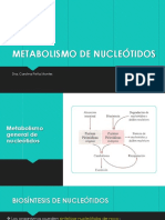 Metabolismo de Purinas