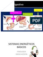 Sistemas Energeticos I