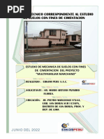 Ems Informe San Borja 2