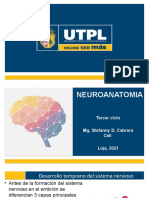 NEUROANATOMIA