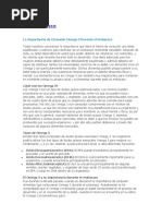 La Importancia El Consumo de Omega 3 en El Embarazo