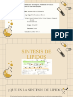 Sintesis de Lipidos