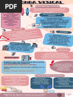 Infografía - Sondaje Vesical - Santos Laura - Torres Leonardo