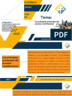 Diapositivas de Los Principios Procesales Del Proceso Constitucional