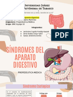 Síndromes Del Aparato Digestivo