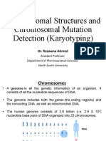 Lec-6 Chromosomes and Karyotyping