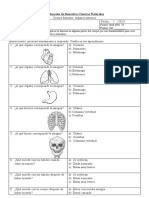 Evaluacion Sumativa Ciencias Organos