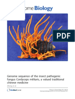 Genome Sequence of The Insect Pathogenic