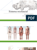 Sistema Miofacial (1) .PPTX Enviar 2