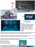 Clase N° 1 Introduccion A La Anatomia