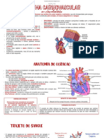 Sistema Cardiovascular