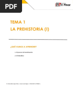 TEMA1PREHISTORIA