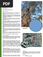 TOPOGRAFIA Coordenadas