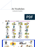 Jobs Vocabulary