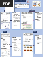 Esquema Patologias Respiratorias