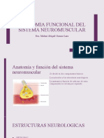 Oclusion Neuromuscualar