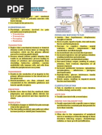 Health Assessment Notes Pain and Violence