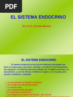 Sistema Endócrino