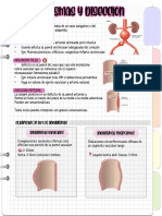 Aneurismas Patología Robbins