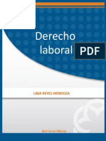 LIBRO 24 Derecho Laboral